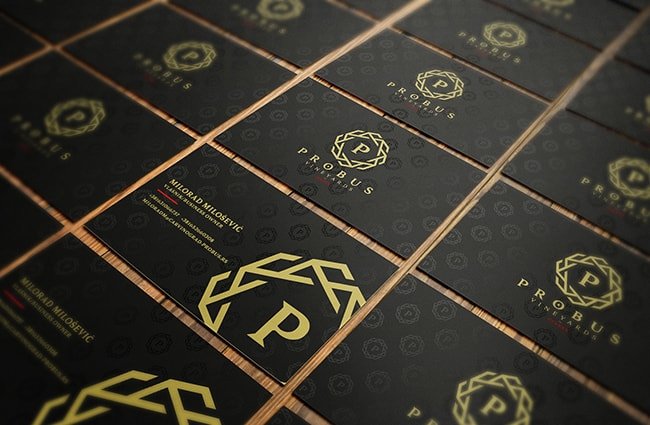 wingut probus visitenkarte-design